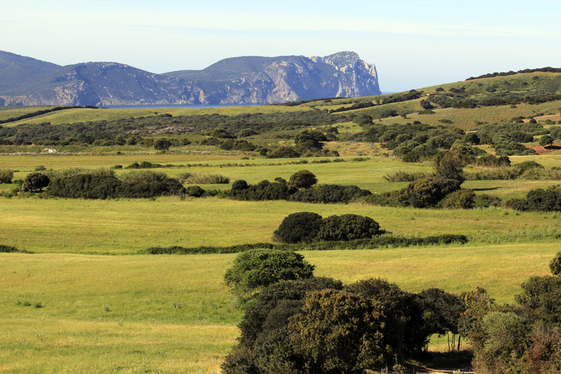 2016-04-29_093608 sardinien-2016.jpg - Fahrt nach Nordwesten